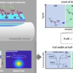 Nanoscienze, sviluppato un sistema di sensing avanzato in fibra ottica per il rilevamento attomolare di biomolecole in fluidi biologici complessi